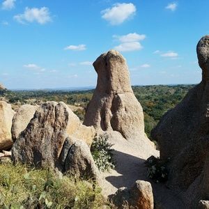 Meet your Posher, Morgan